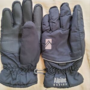 Alpine Design Men's Ski Gloves Size M